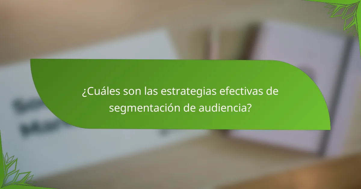 ¿Cuáles son las estrategias efectivas de segmentación de audiencia?