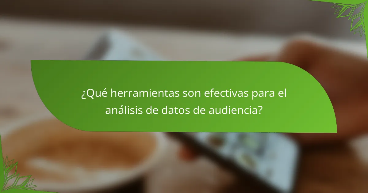 ¿Qué herramientas son efectivas para el análisis de datos de audiencia?